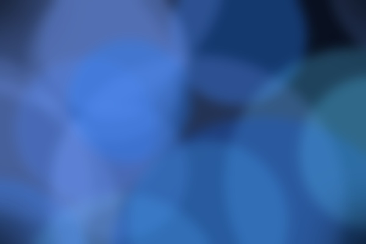 Door handle and home entryway